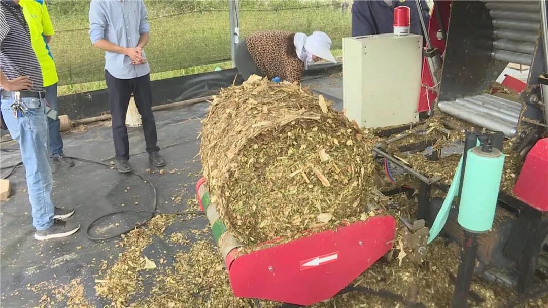 我为农民群众办实事活动方案,秸秆回收再利用变草为宝促增收