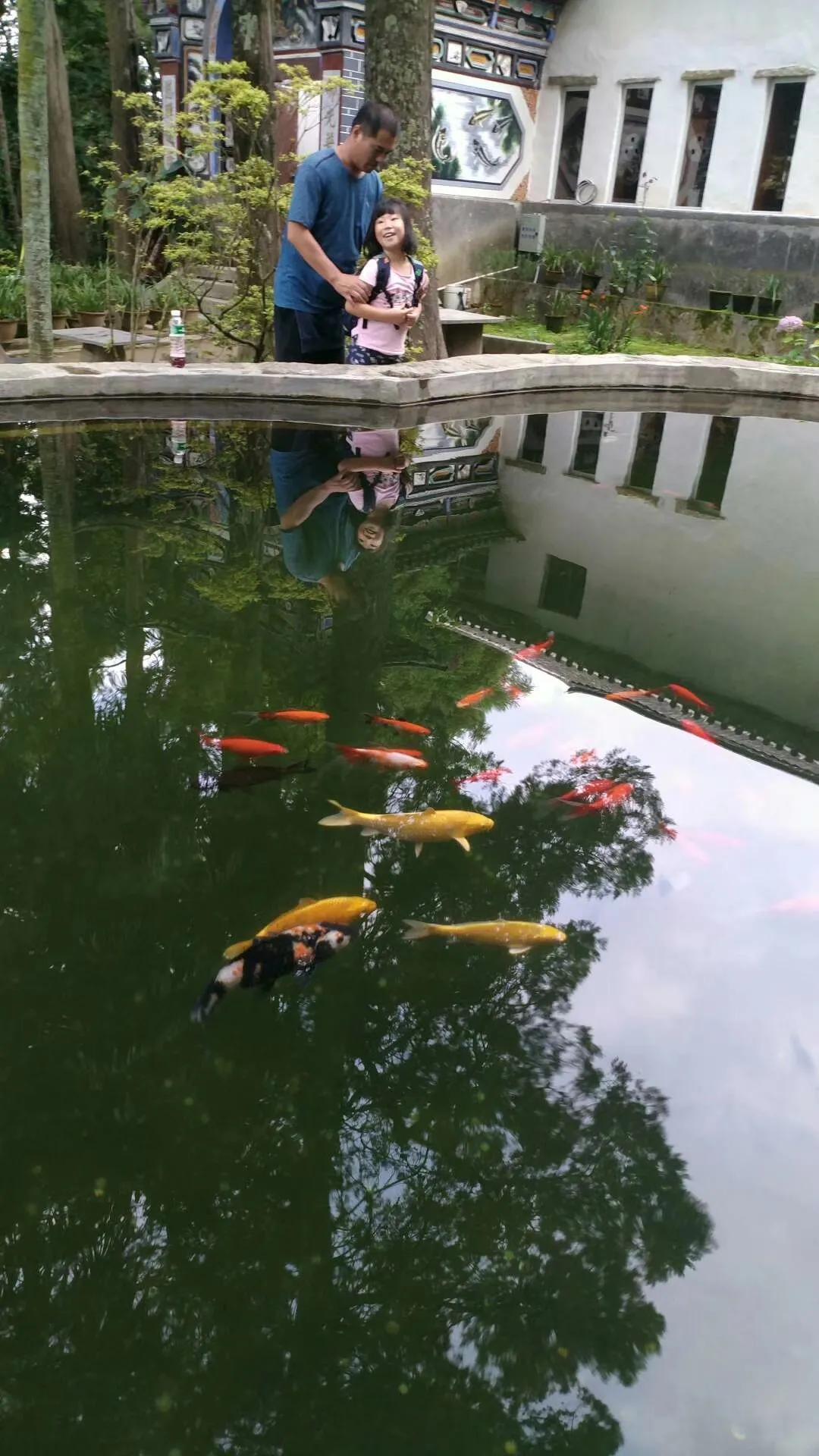 一家三口的田园生活,一家三口在大理的田园边租房15年