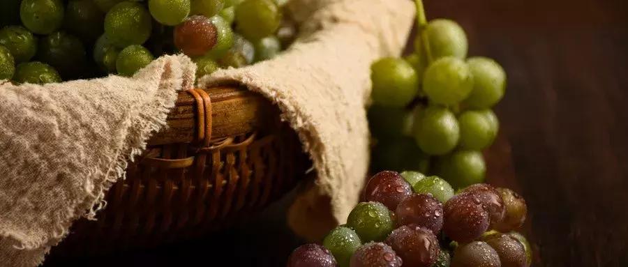 怀孕了还可以闹吗,怀孕还能觉得饿是不是就不会流产