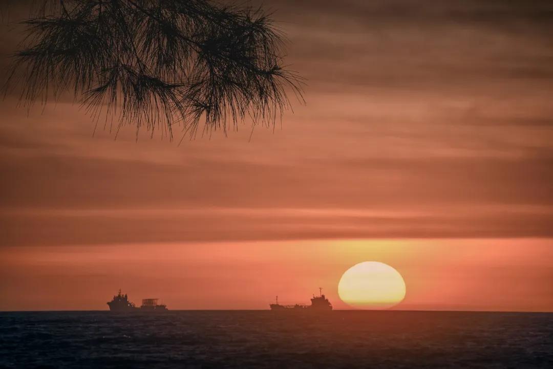 津门网向杰：盈滨半岛夕阳红