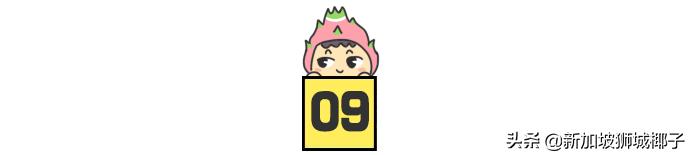 新加坡樟宜机场免税店茅台价格,新加坡樟宜机场免税店必买清单