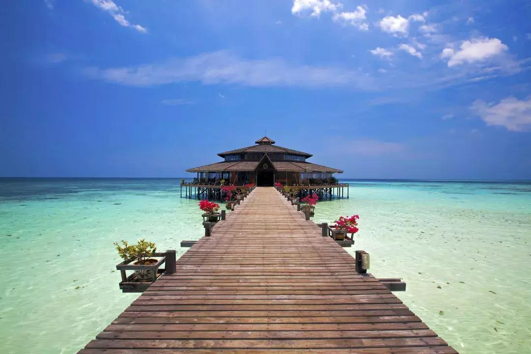 亚航大促机票怎么抢2024,亚航特价机票最新消息