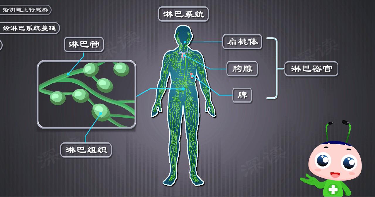妇科附件炎最佳治疗方法,人流后附件炎是怎么引起的