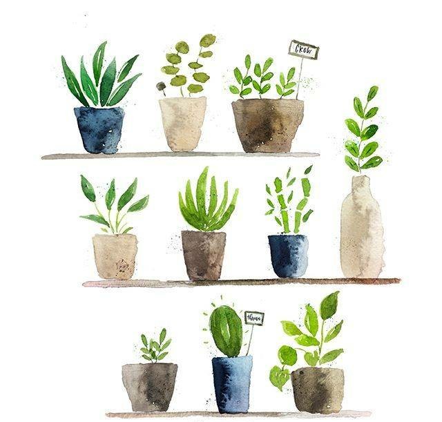 一组小清新的水彩绘画绿植素材,手绘水彩植物手帐