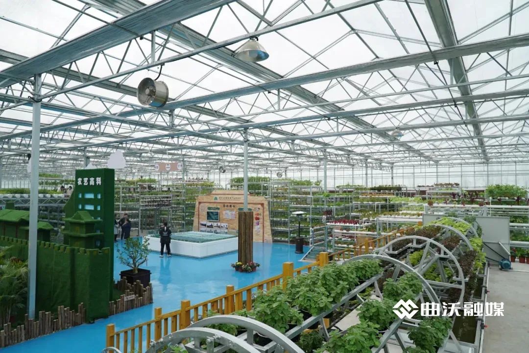 助力全县产业升级,山西服务业提质增效行动计划