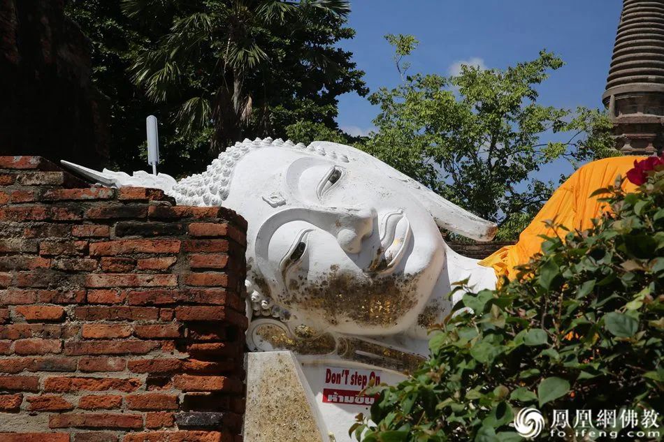 学佛的博士后：医学让我感到绝望，佛法让我看到希望