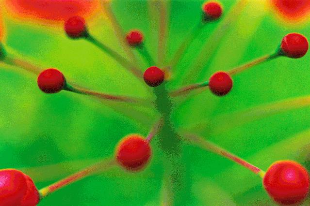 亚洲最狂野女导演，一年出3部新片，半个演艺圈为她站台