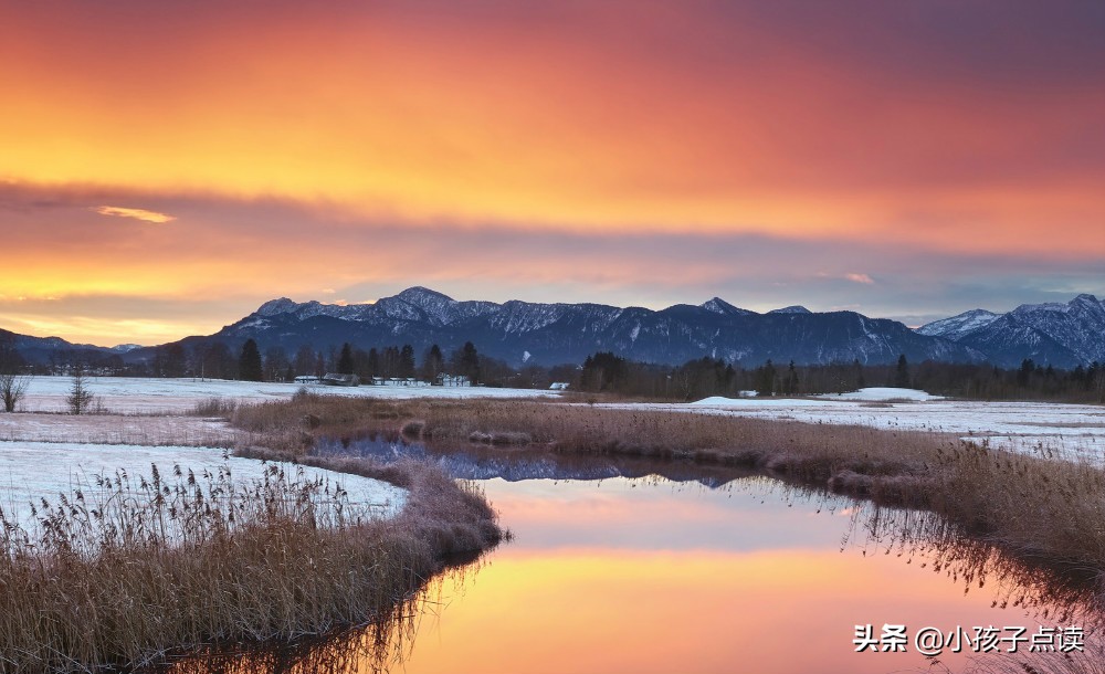 水调歌头我志在寥阔,水调歌头辛弃疾古诗全文讲解