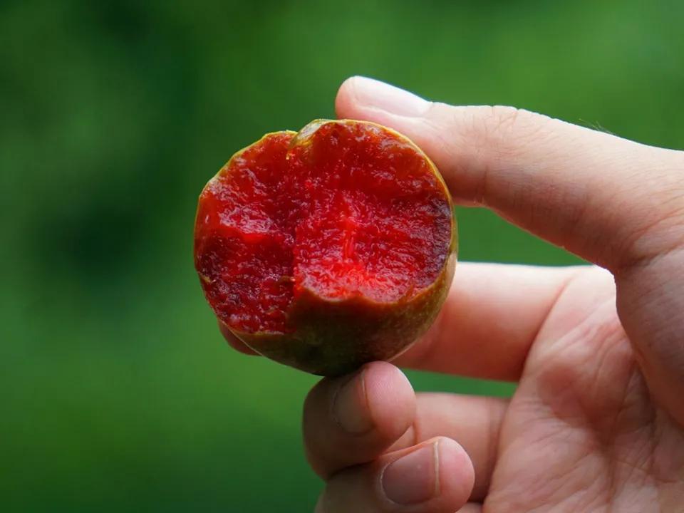 时令水果清甜可口,应季水果清甜可口软滑多汁