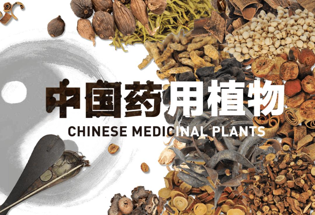 林草科普视频,林草科普宣传视频