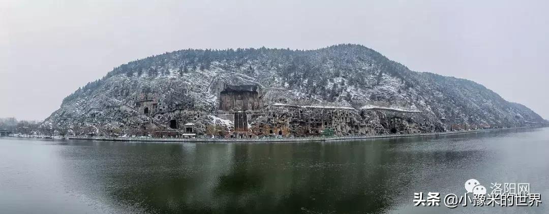 河南洛阳发布最新通知,洛阳牡丹花会向全世界发出邀请