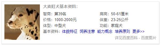 狗狗品种大全及介绍,狗狗品种大全带你走进狗狗的世界