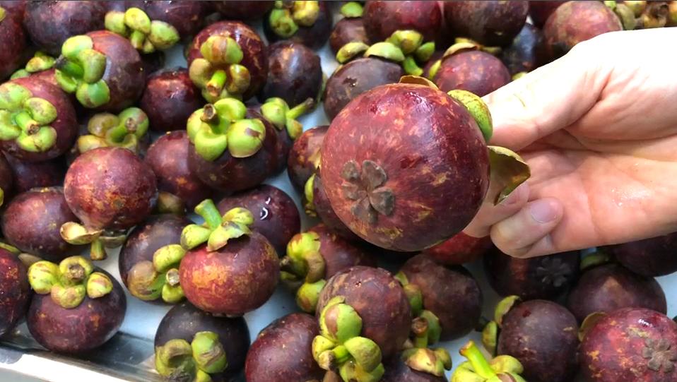 怎样挑选山竹最新鲜最好吃,山竹怎么挑选好的不白吃