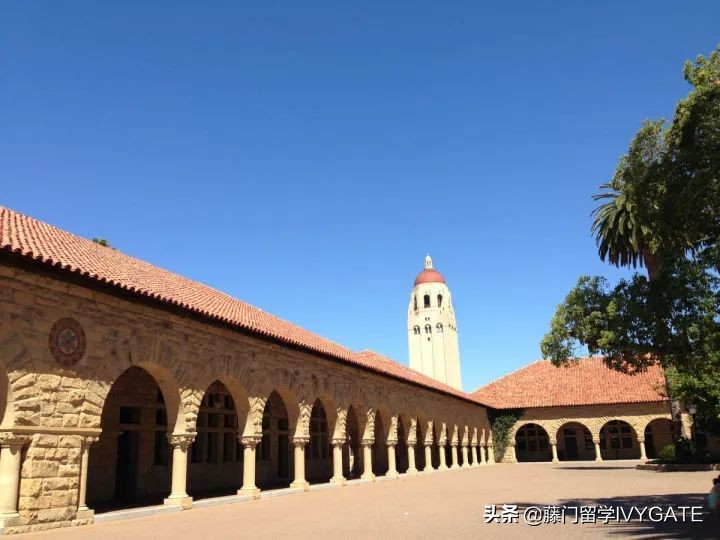 在斯坦福读书是怎样的体验,在斯坦福读博士的真实感受