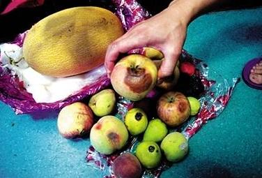 狗狗早上空腹吐黄泡沫,狗狗吐黄粘液为什么吃草