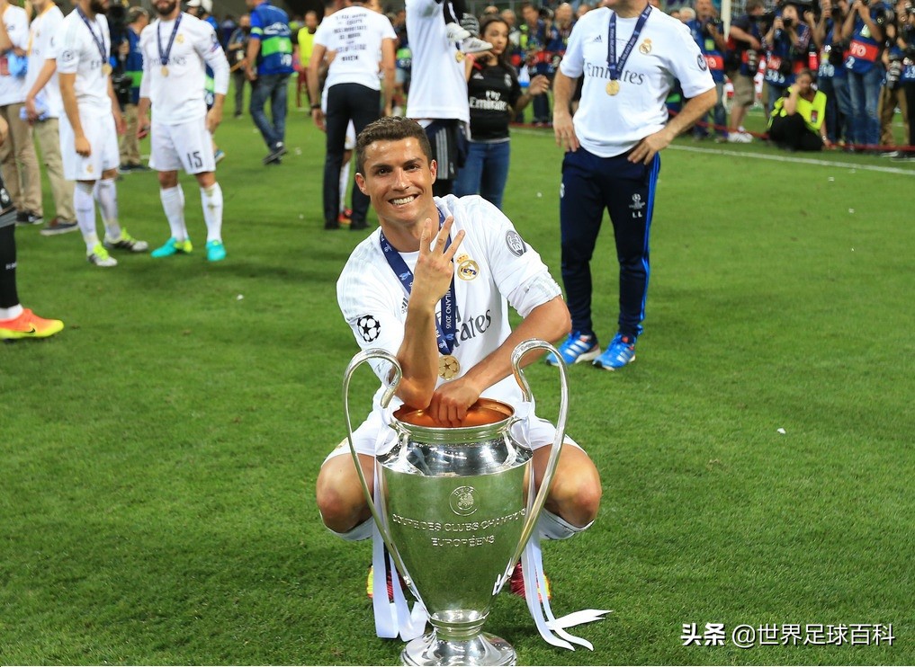 7大特质,七种能力个人剖析材料