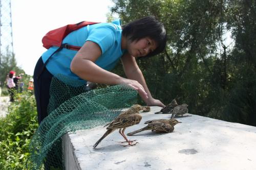 家养的鸟放生还能继续活下去吗,笼养鹦鹉放生能存活吗