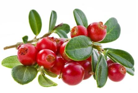 全球10种奇异水果，神秘果不知打动多少吃货的心