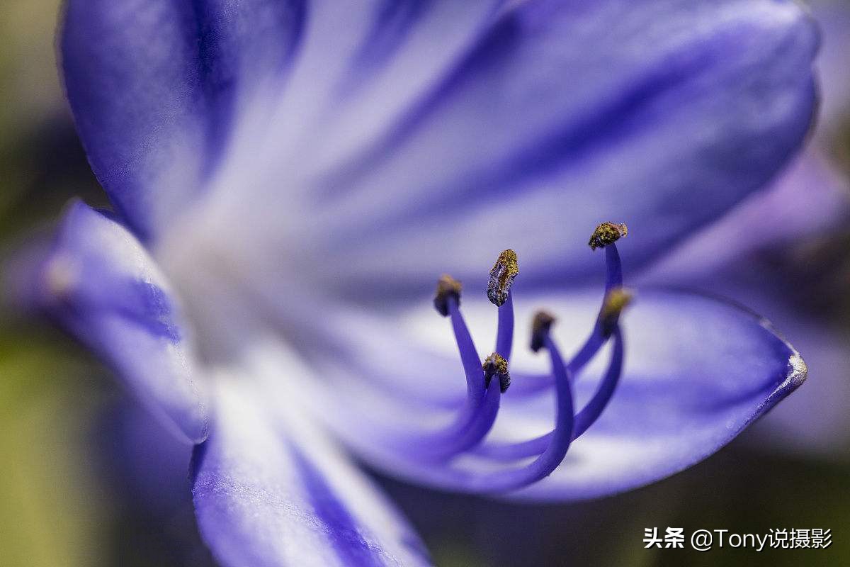 相机镜头的标志总结,相机镜头标识怎么看出来