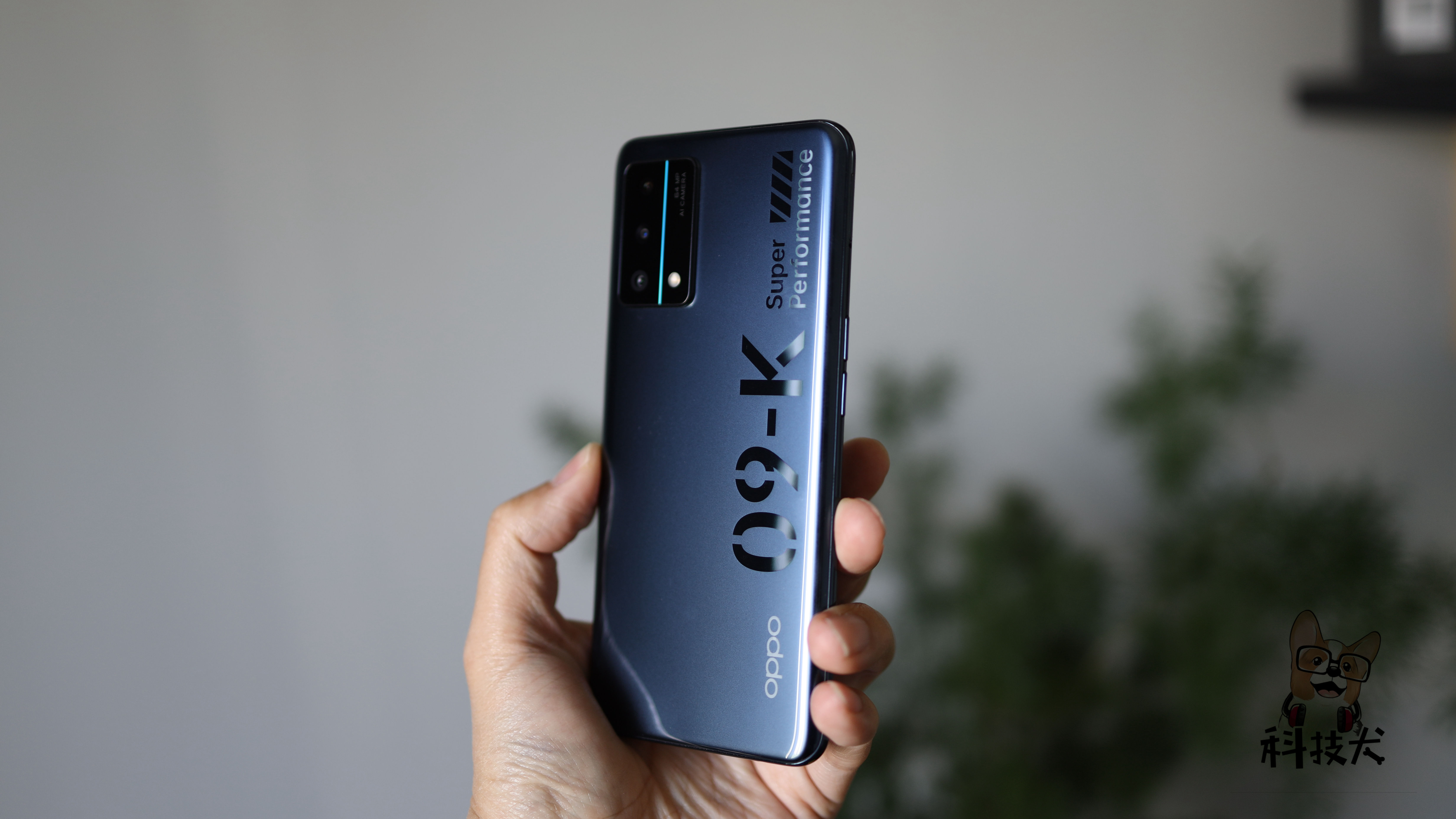 科技犬小米,科技犬正品