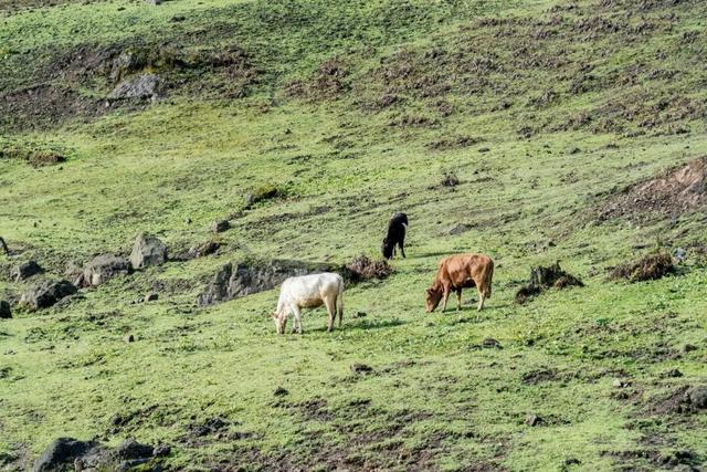 红了！黑竹沟迎颜值巅峰快去穿越五彩童话世界