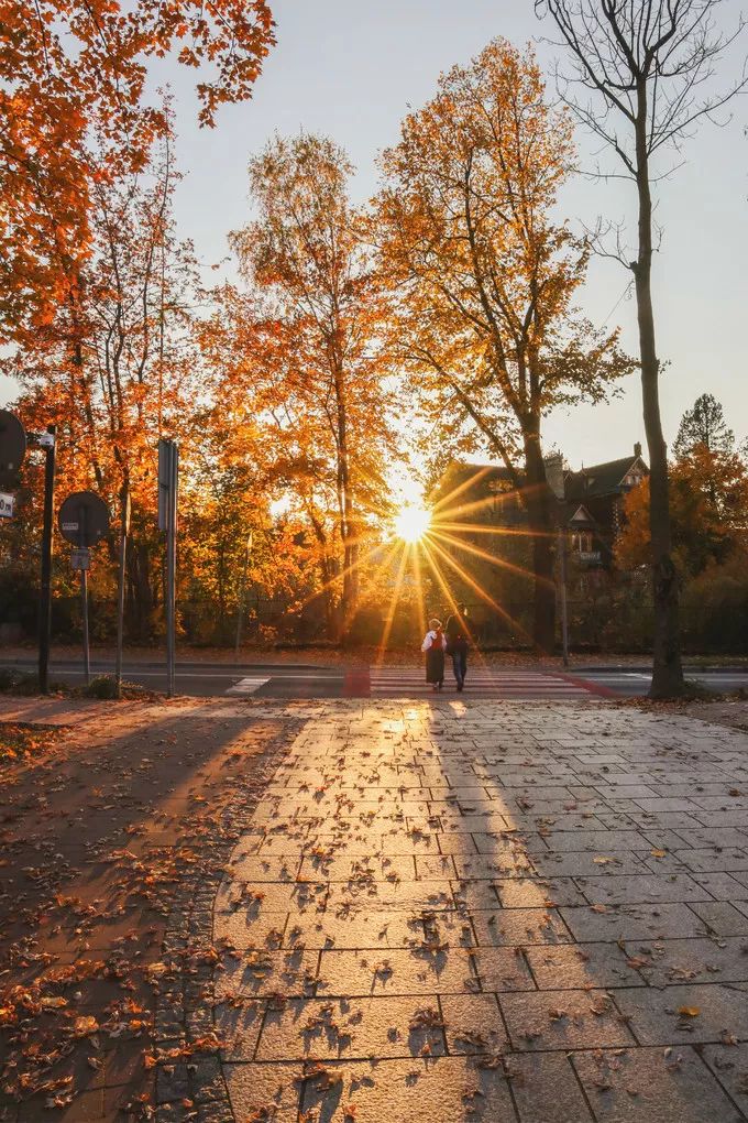 游记｜波兰—你所不知道的童话国度