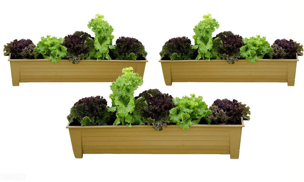 缺电引来韩国1.8万吨尿素新订单越南澳大利亚尿素实在是杯水车薪