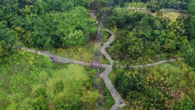 成都双流最美公园,公园城市的美