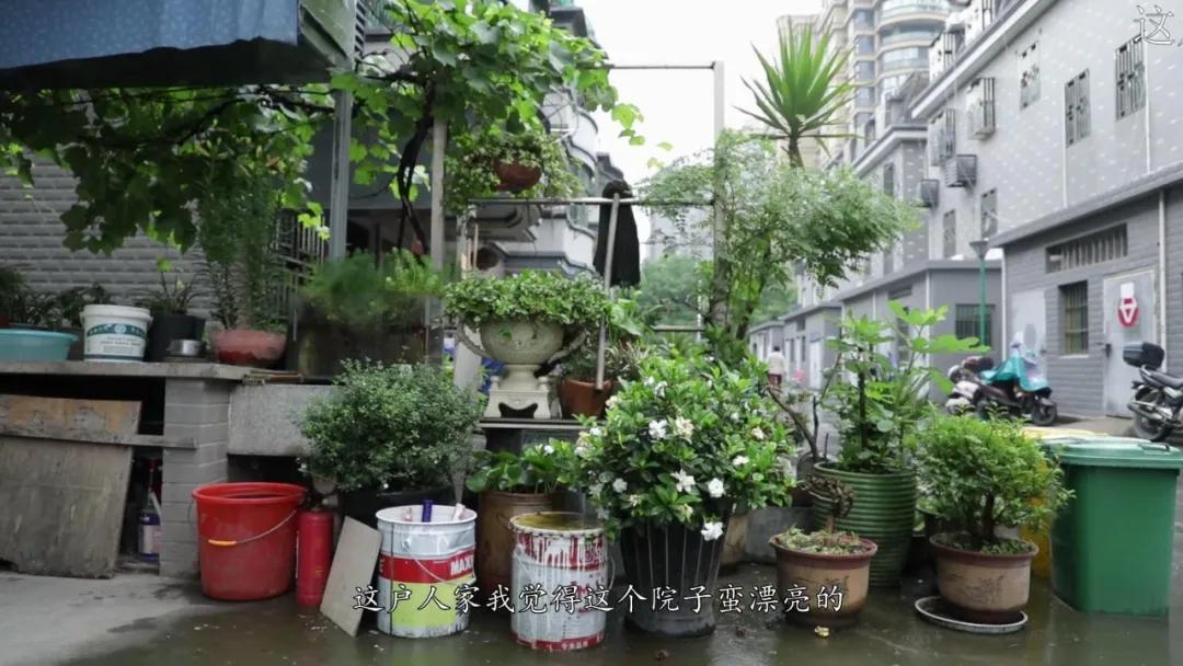 蚊子驱蚊最快的方法,夜晚蚊子多怎么有效的驱蚊