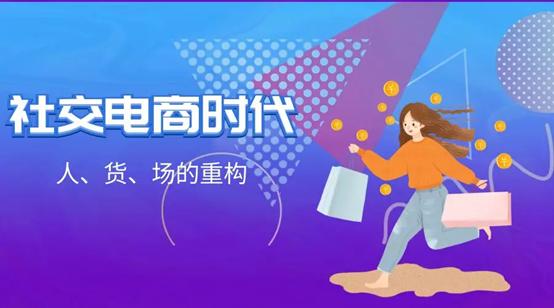 社交电商模式 (社交电商的模式是什么)