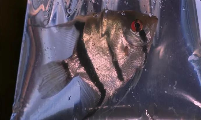 那些看起来特“亚”的人，都在穿什么牌子？