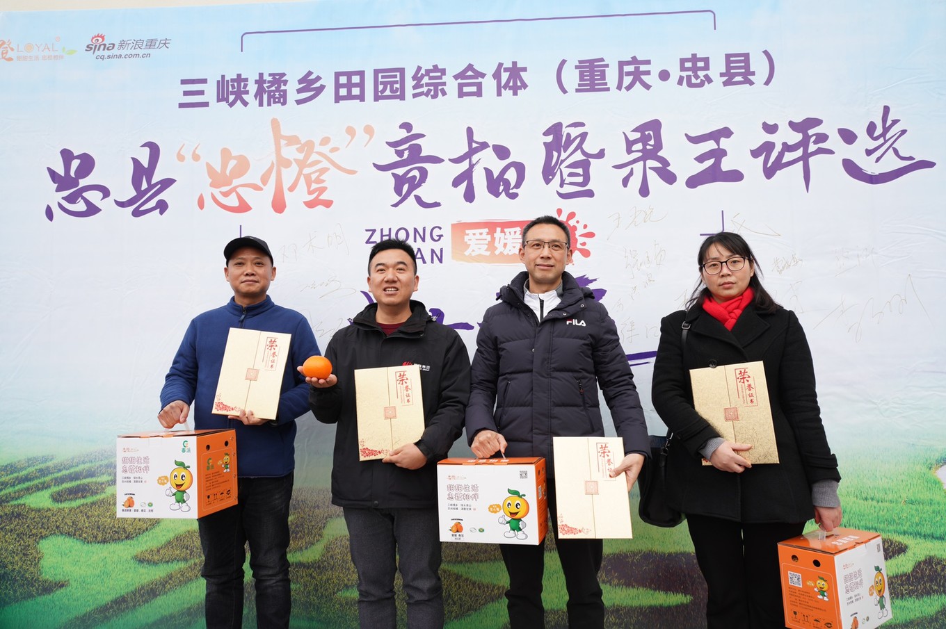 重庆市忠县柑橘园,柑橘之乡忠县