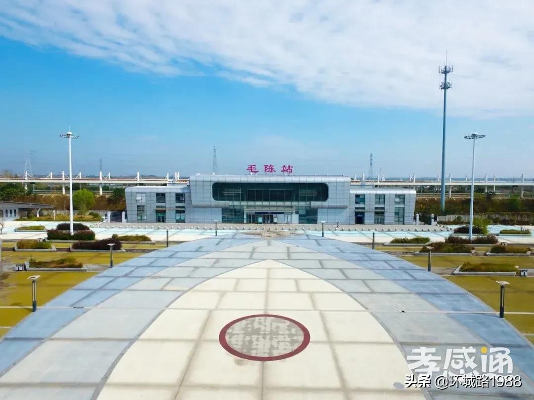 未来可期！向你展现不一样的毛陈