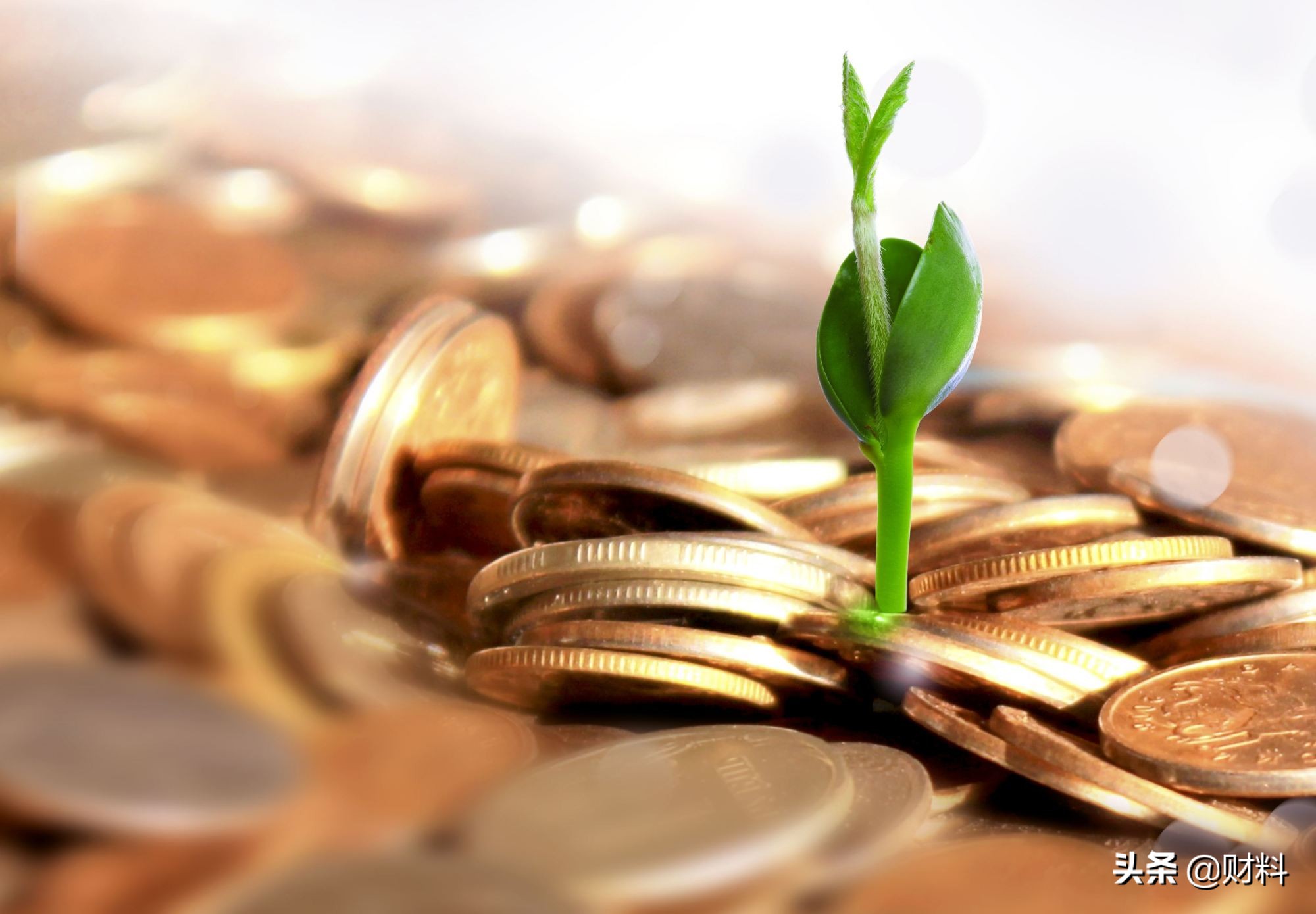 个人投资理财方法,手握5万做什么投资