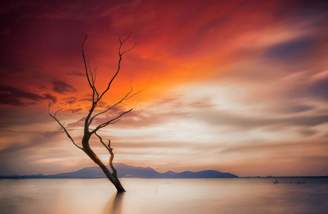 兄弟打印机打印照片偏色,打印彩色照片不清楚怎么调清晰度