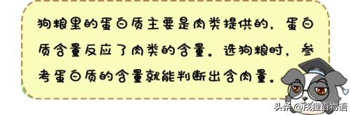 选狗粮,选狗粮的标准