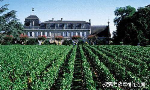 世界上最多的拉菲红酒,全世界一共有多少瓶82年的拉菲