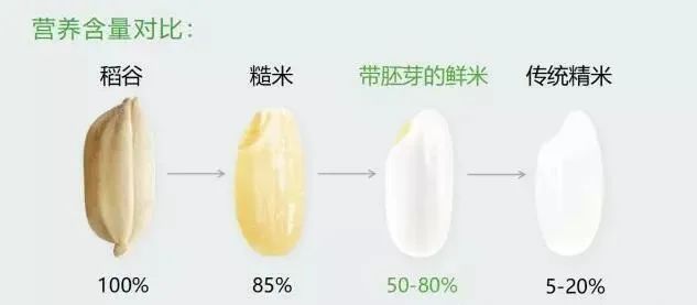 健康从食物开始,健康从时令食材开启