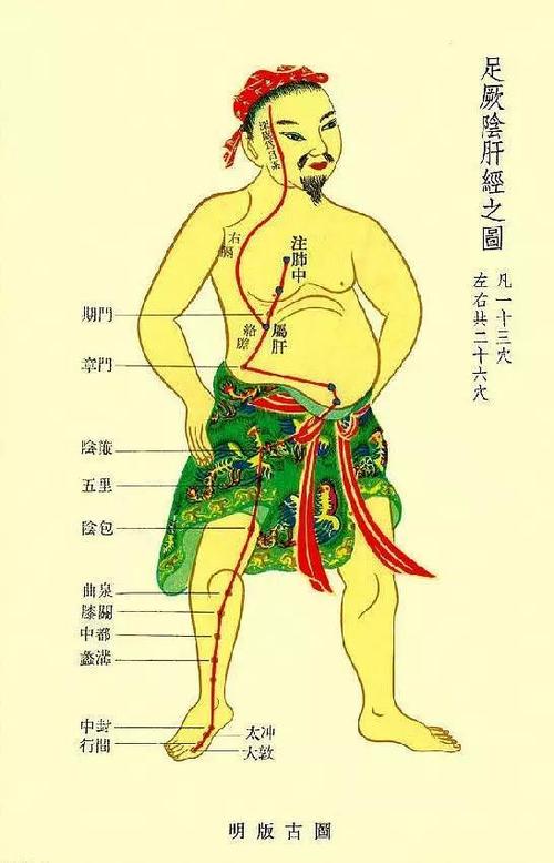 甲状腺结节子宫肌瘤卵巢囊肿调理,甲状腺乳腺结节子宫肌瘤如何调理