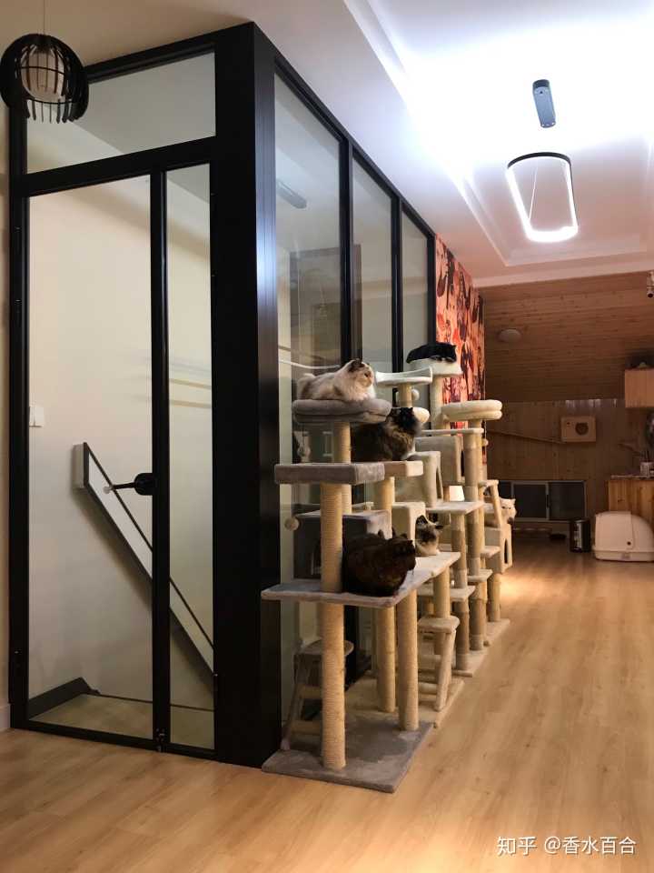 买了高层的人怎么样了,买了顶楼的房子后悔了吗