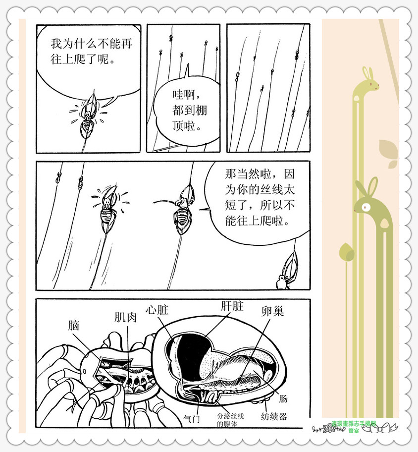 昆虫记法布尔动画片,昆虫记法布尔全套