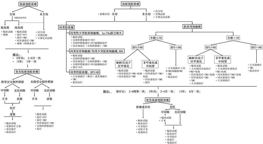 卫健委首部胶质瘤诊疗规范,中国脑卒中防治规范2021新内容