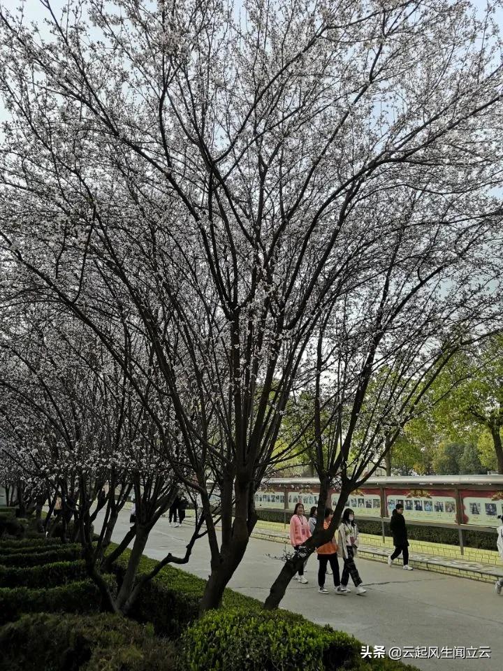 随州县城网红打卡地,随州市曾都区旅游景点