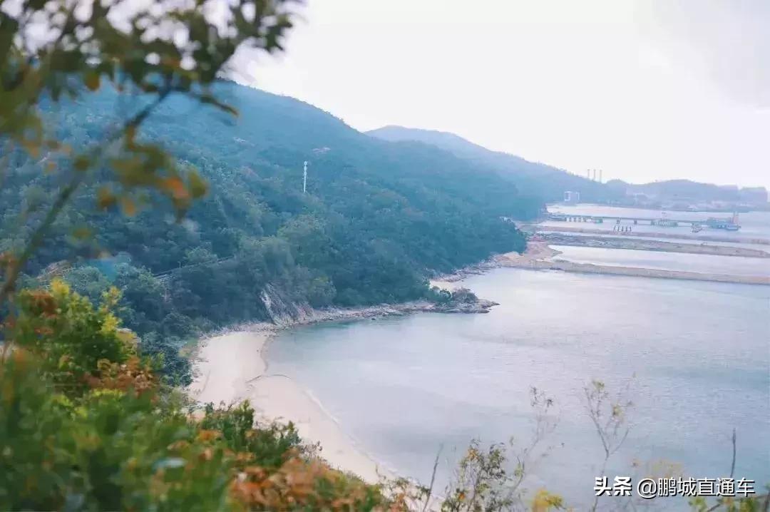 深圳60个最适合一日免费景点,暑假深圳旅游必去十大景点