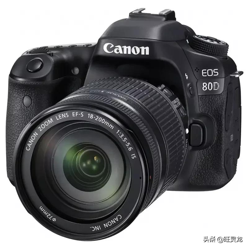 佳能80d单反相机入门摄影教程,佳能eos6d单反相机入门教程