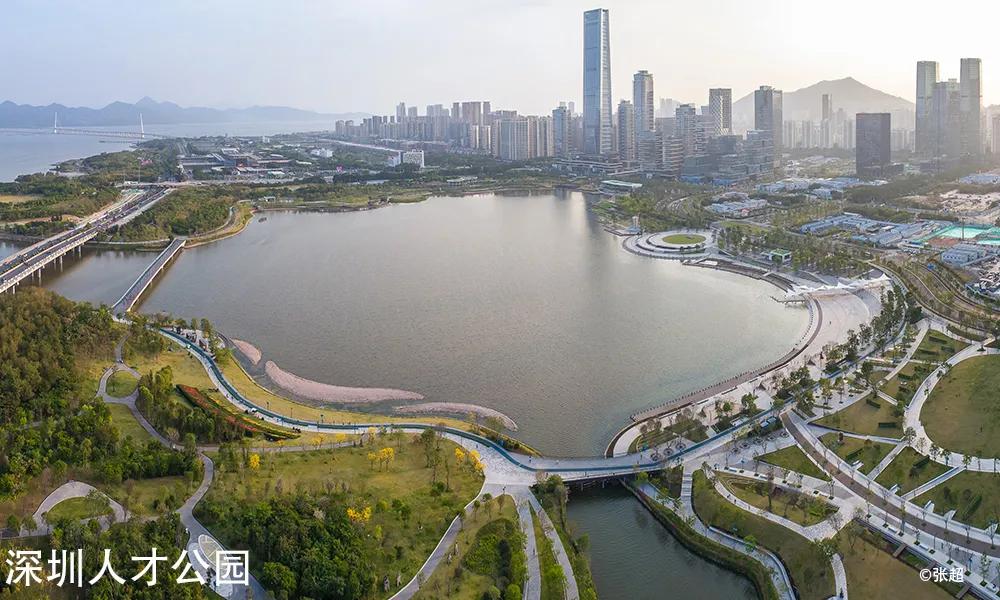 冯越强作品,冯越强