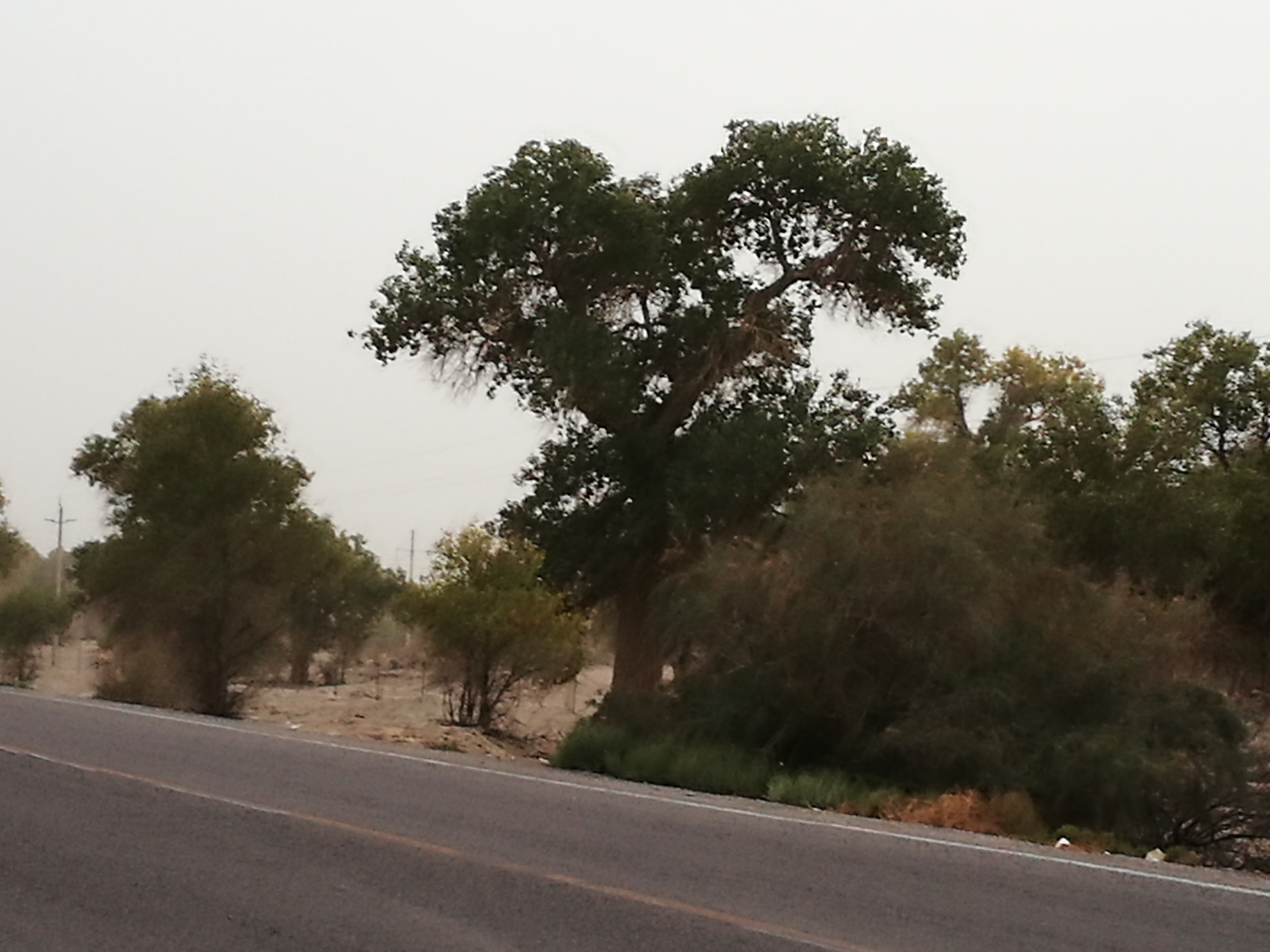 13000公里新手独驾*疆新**日记第23天——塔克拉玛干沙漠陷车自救