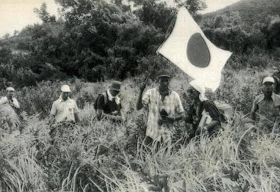 双枪老太婆沦为女匪，*杀虐**我军代表，毛主席特批枪毙并善待其后人