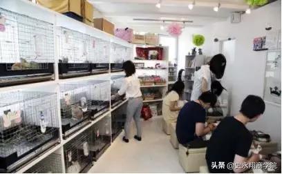 100个创业故事大全简短,最励志真实的创业故事