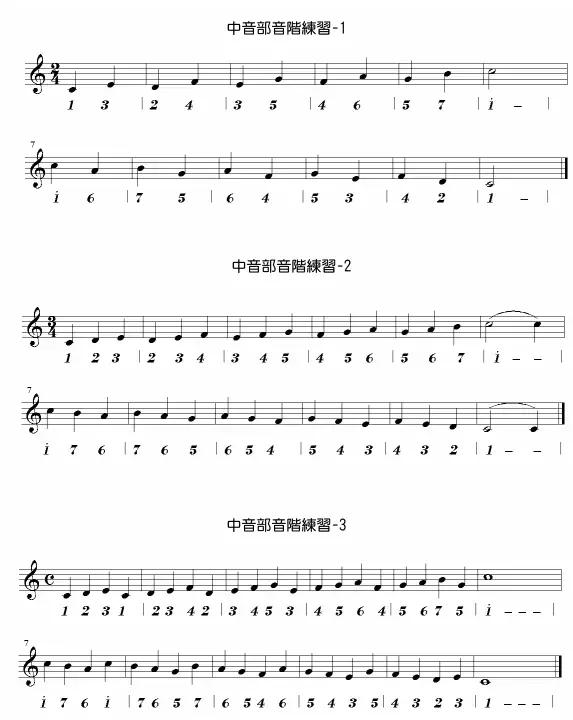 国光口琴教学入门,十孔口琴入门教程视频